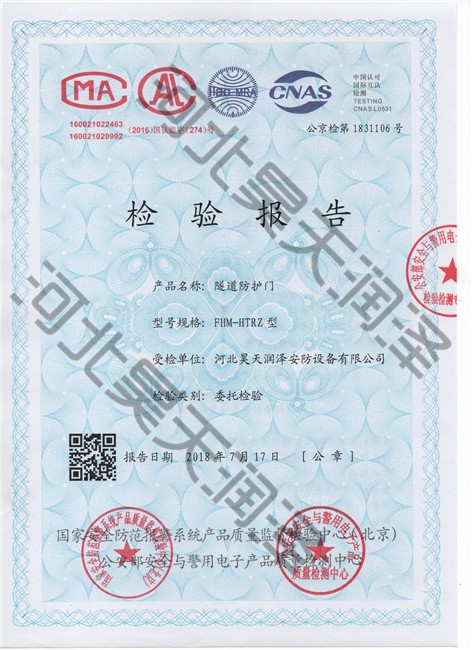 久久精品国产亚洲AV无码麻豆檢驗報告